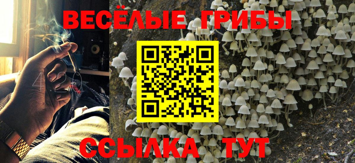 Псилоцибиновые грибы Cubensis Коломна